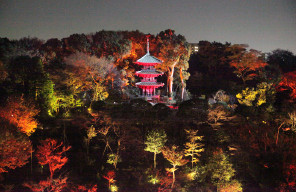 Garden Illumination, Chinzan-so and Four Seasons Hotel Tokyo at Chinzan-so (Hotel Garden Lighting)