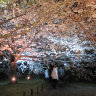 The "2008 Spring Illumination" of Hamarikyu Onshi Teien