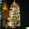 Mikimoto Christmas Illumination 2000