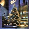 Mikimoto Christmas Illumination 1999